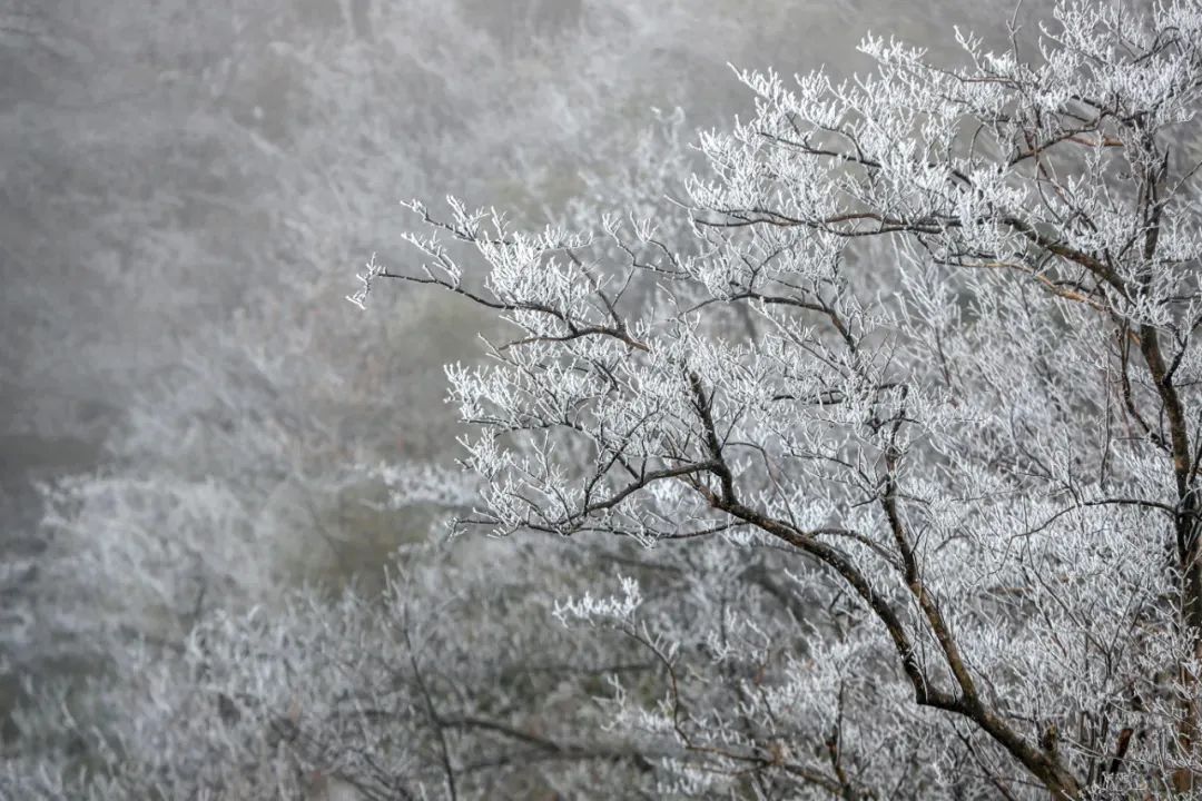 今年来最大范围雨雪将影响超25省份 速戳进程表看你家何时雪花飘